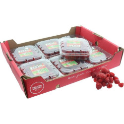 BIO FRAMBOISE 8X125G